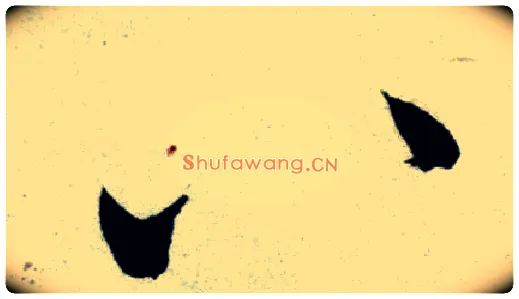 八毛笔行书写法,摘自宋米芾苕溪诗卷