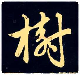 树毛笔行书写法,摘自元赵孟頫天冠山诗帖