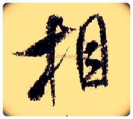 相毛笔行书写法,摘自宋米芾蜀素帖