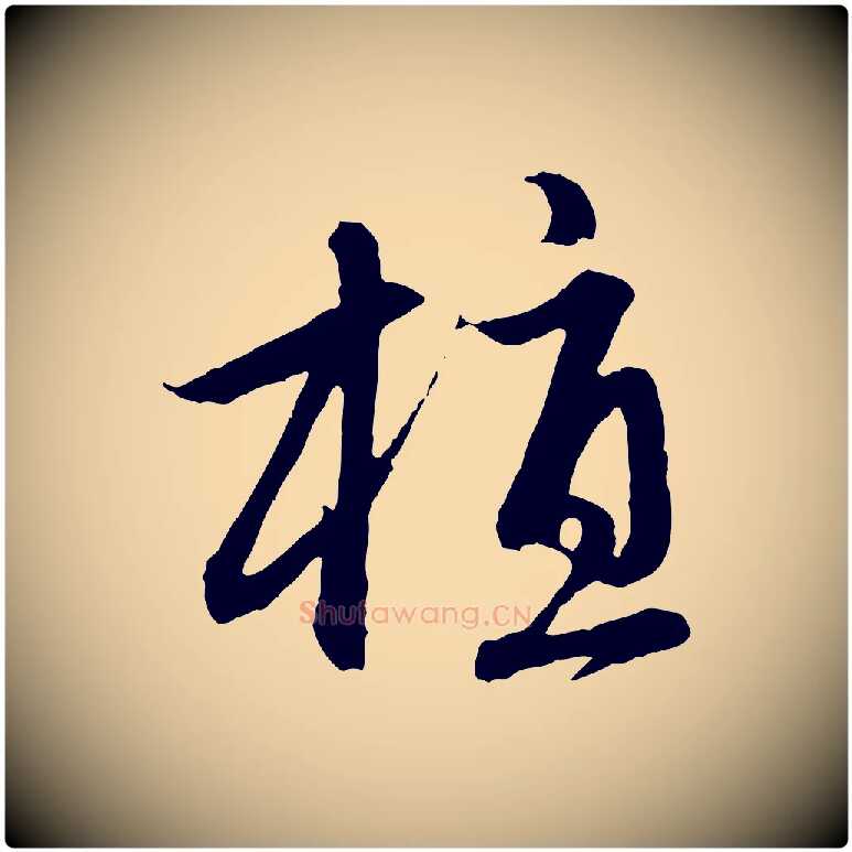 植毛笔行楷写法,摘自元代赵孟頫感兴诗并序