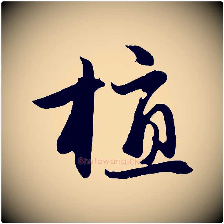 植毛笔行楷写法,摘自元代赵孟頫感兴诗并序