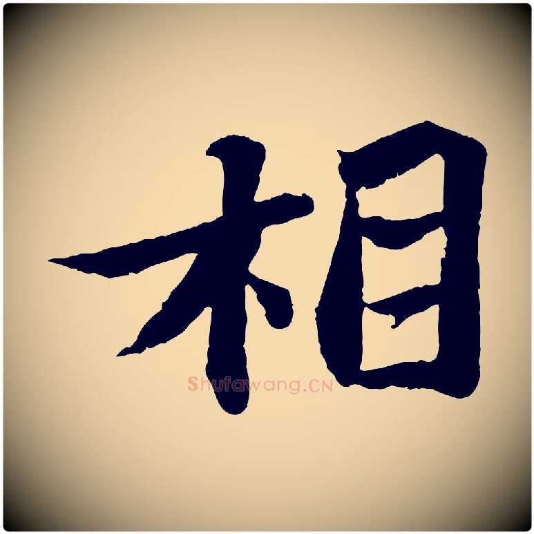 相毛笔行书写法,摘自宋代苏轼赤壁赋