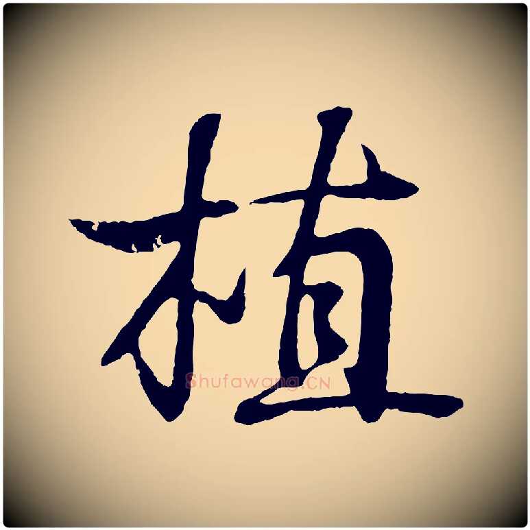 植毛笔行书写法,摘自东晋王羲之临锺繇千字文