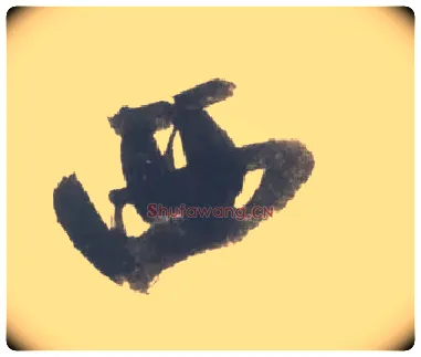 西毛笔行书写法,摘自宋米芾吴江舟中诗卷