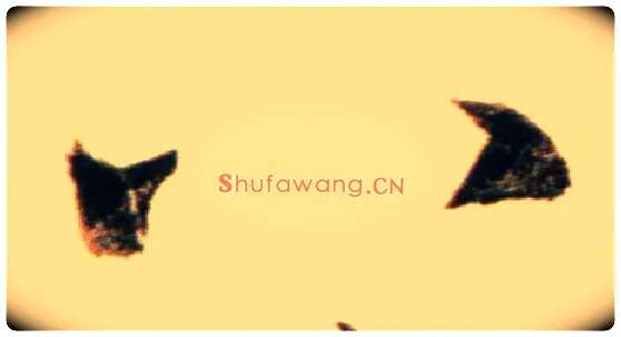 八毛笔行书写法,摘自元赵孟頫行书二赞二诗卷