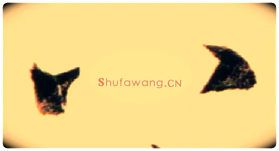 八毛笔行书写法,摘自元赵孟頫行书二赞二诗卷