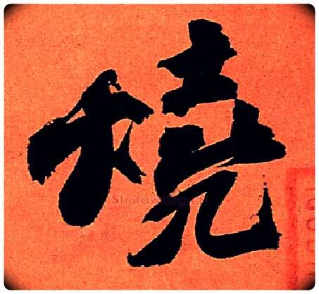 烧毛笔行书写法,摘自宋苏轼寒食帖