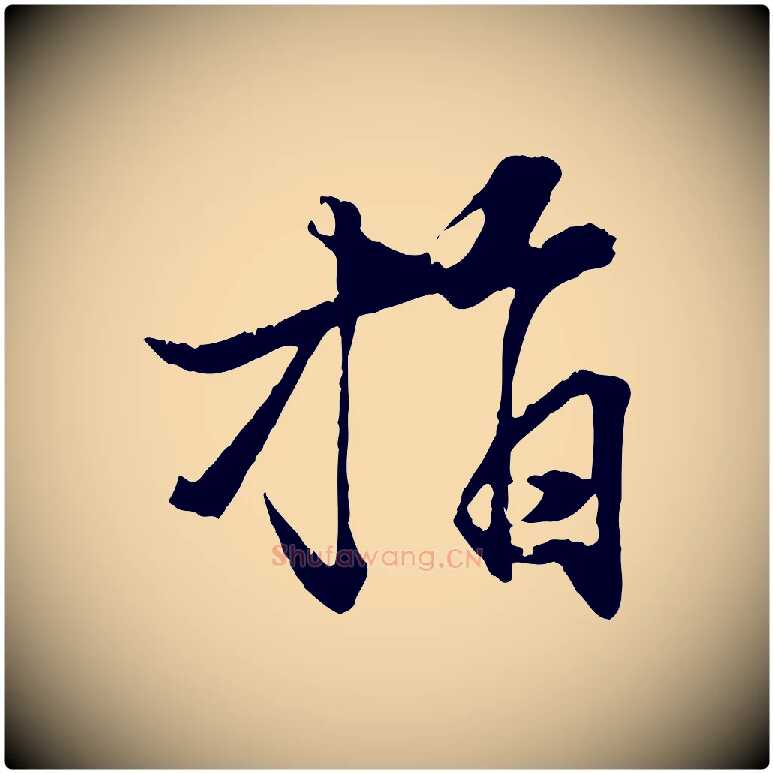 指毛笔行楷写法,摘自元代张雨跋苏轼诗二首