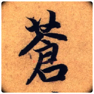 苍毛笔行书写法,摘自元赵孟頫前后赤壁赋