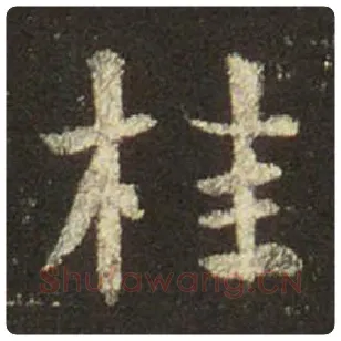 王羲之毛笔行书桂字的写法,摘自王羲之书法作品圣教序