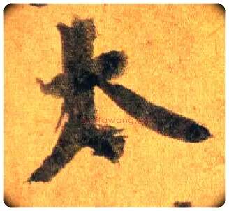 太毛笔行书写法,摘自宋蔡襄扈从帖