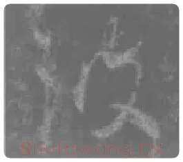 王羲之毛笔行书波字的写法,摘自王羲之书法作品圣教序