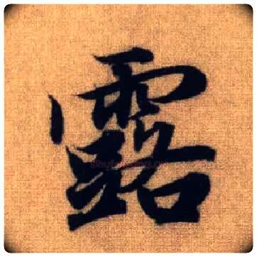 露毛笔行书写法,摘自元赵孟頫前后赤壁赋