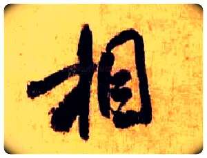 相毛笔行书写法,摘自宋米芾张季明帖
