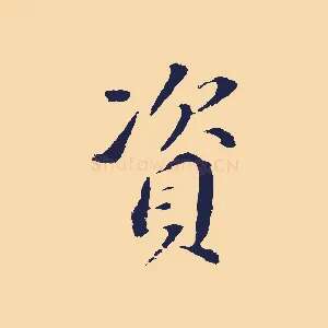 資