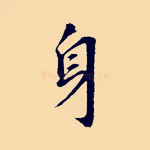 身