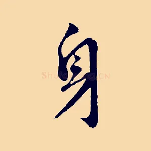 身