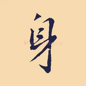身
