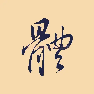體