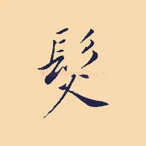 髮