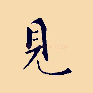 見