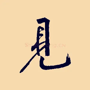 見