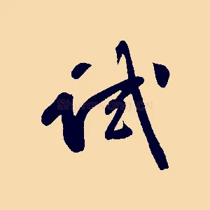 試