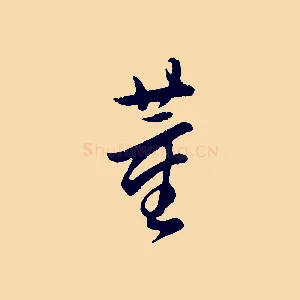 董
