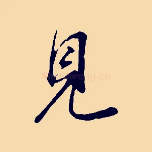 見