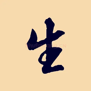 生