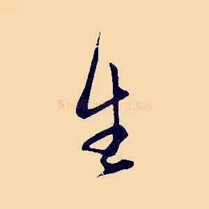 生