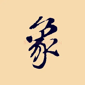 象
