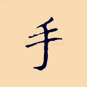 手