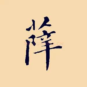 薛