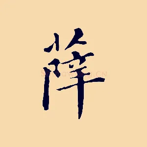 薛