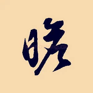 瞻