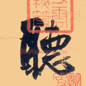 聽