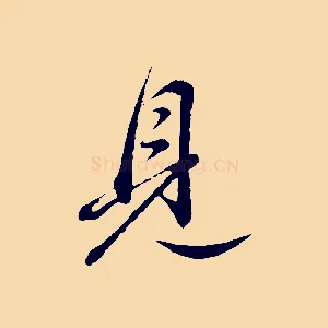 見