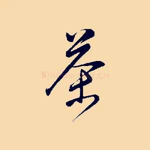 茶