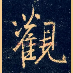 观