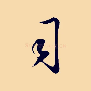 司