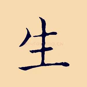生