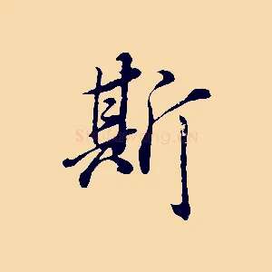 斯