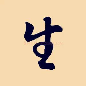 生