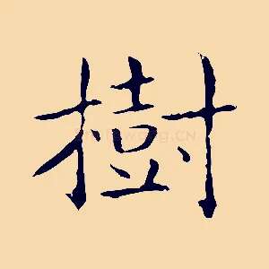 樹