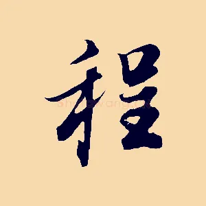 程