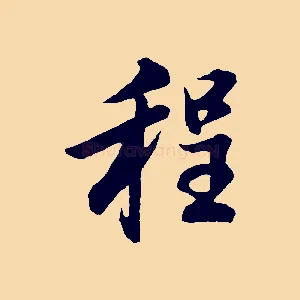 程