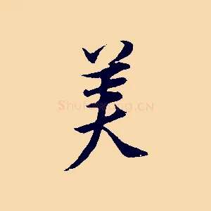 美