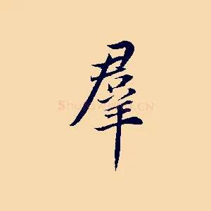 群