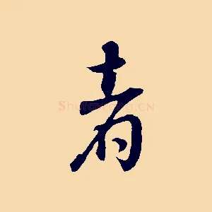 者